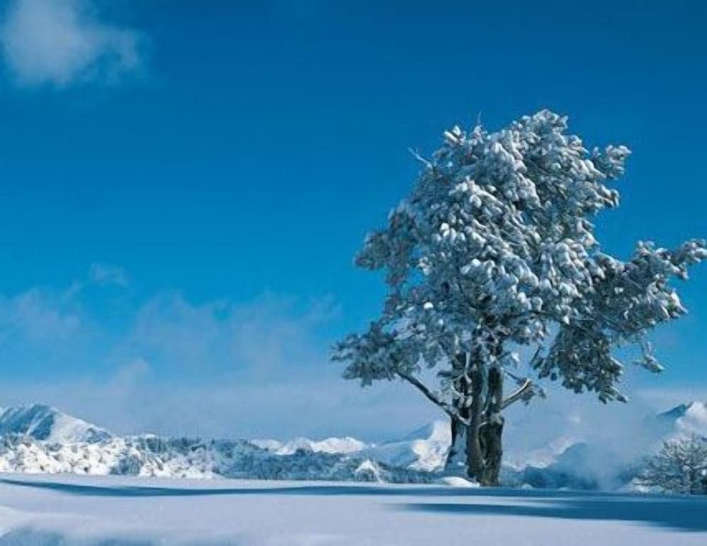 Hotel Arinsal - Property grounds - 1