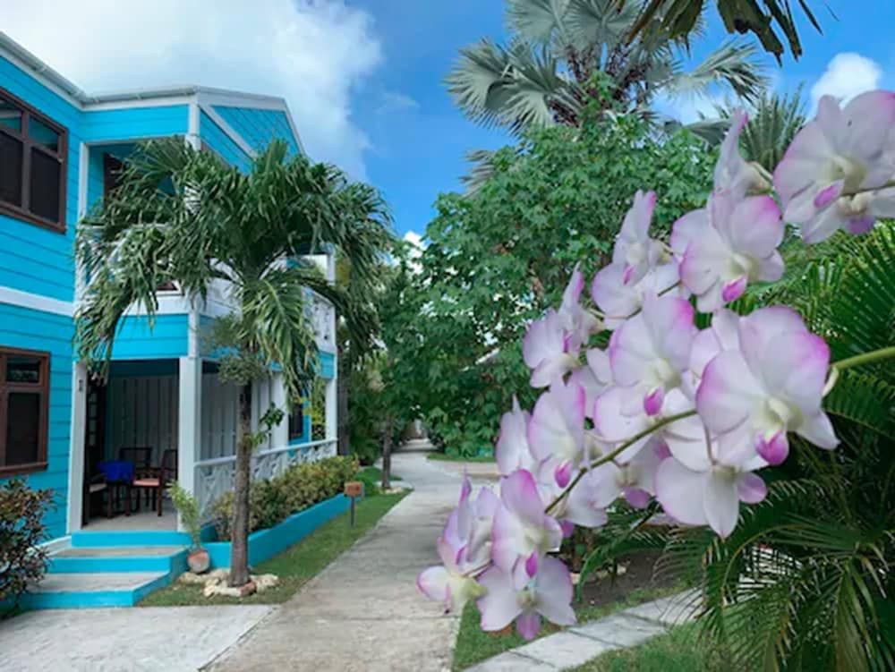 Buccaneer Beach Club - Exterior