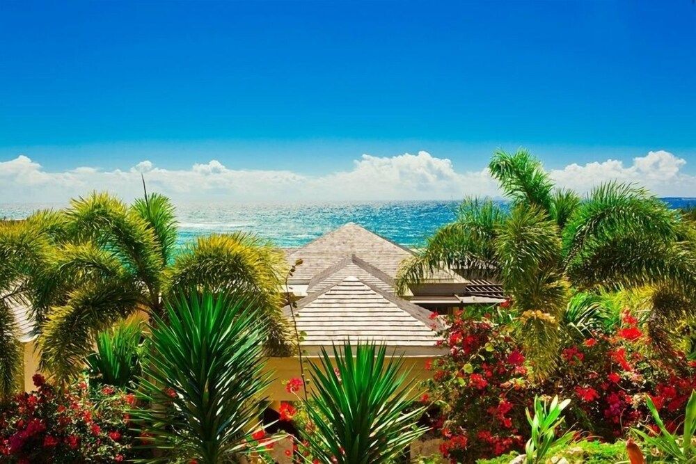 Villa Bird of Paradise - Property grounds