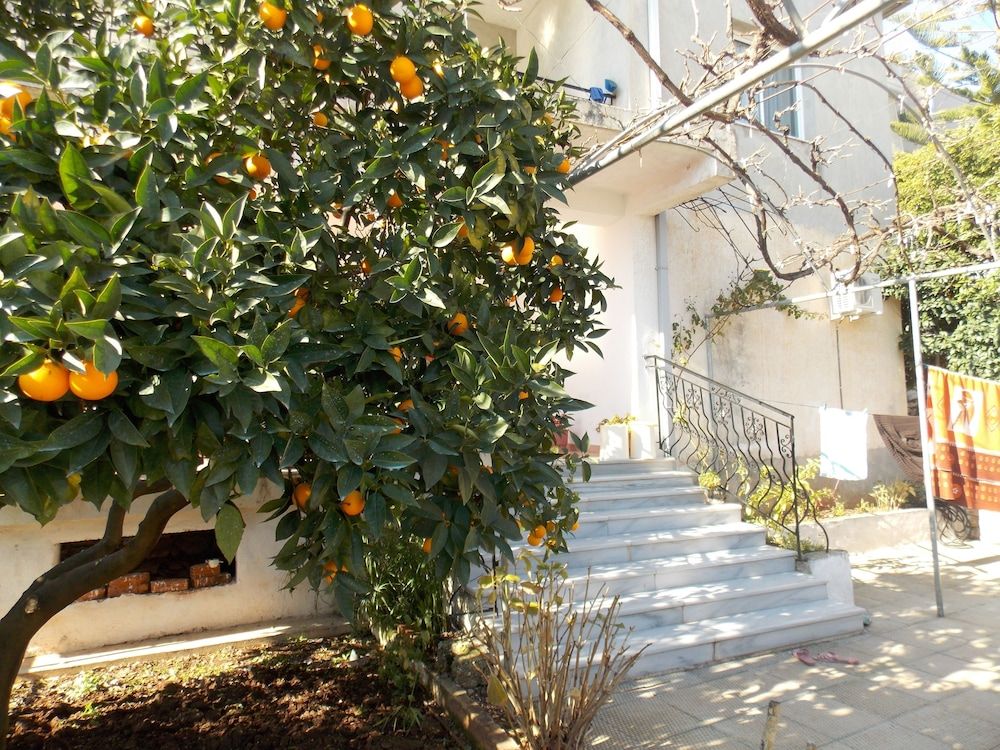 Ylli Apartments Saranda - Exterior