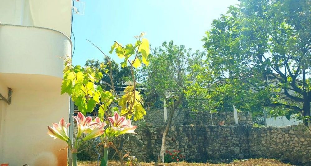 Room in B&B - Albania Dream Holidays Room Ksamil - Property grounds - 2