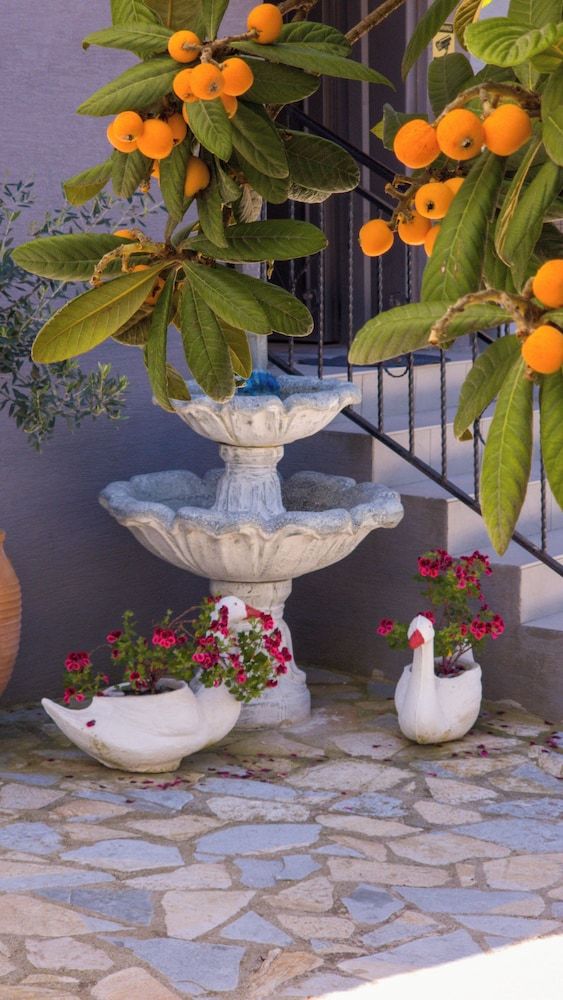 Kalpazo Kaja Vila Garden - Exterior - 1