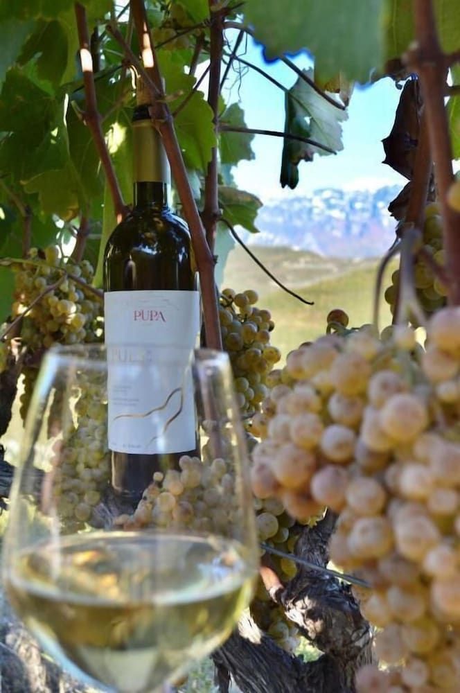 Pupa Winery Serene Stay - Exterior - 1