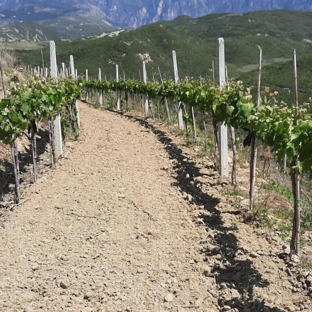 Pupa Winery Serene Stay - Exterior - 4