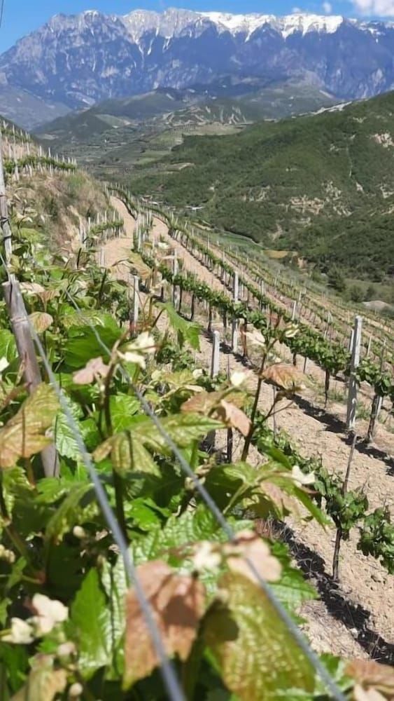 Pupa Winery Serene Stay - Exterior - 3