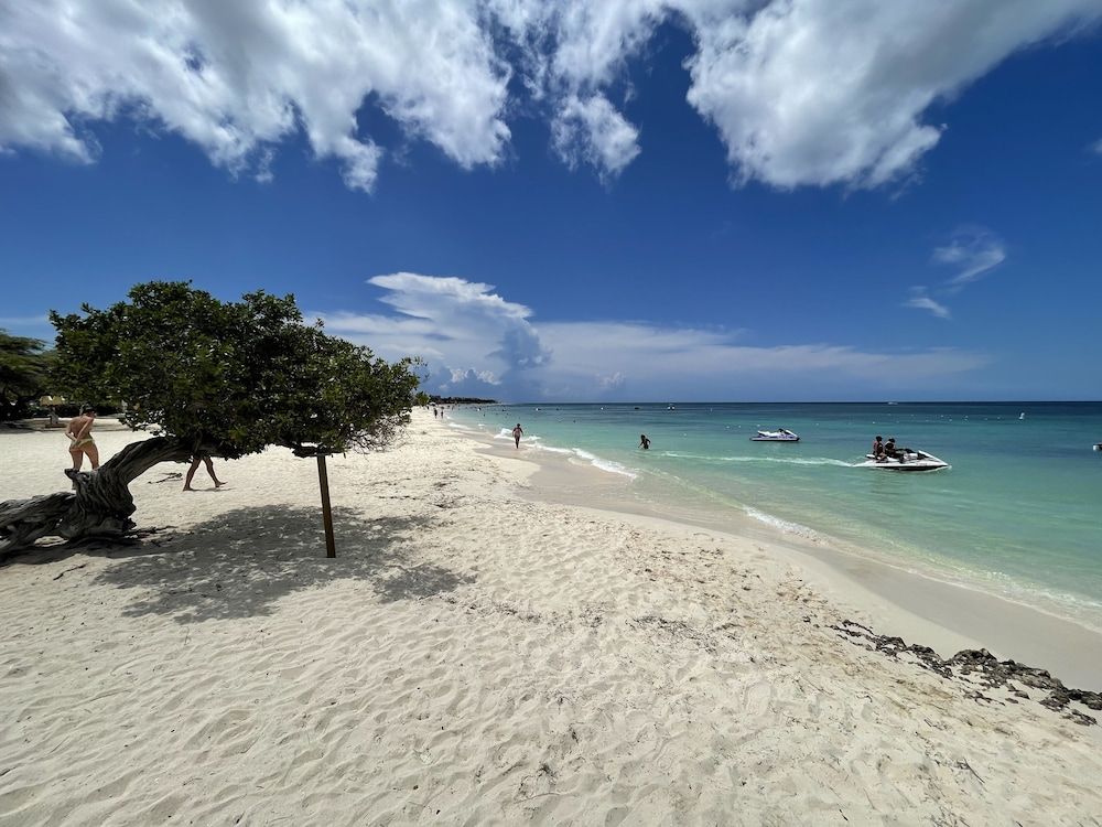 Swiss Paradise Aruba - Point of interest - 3
