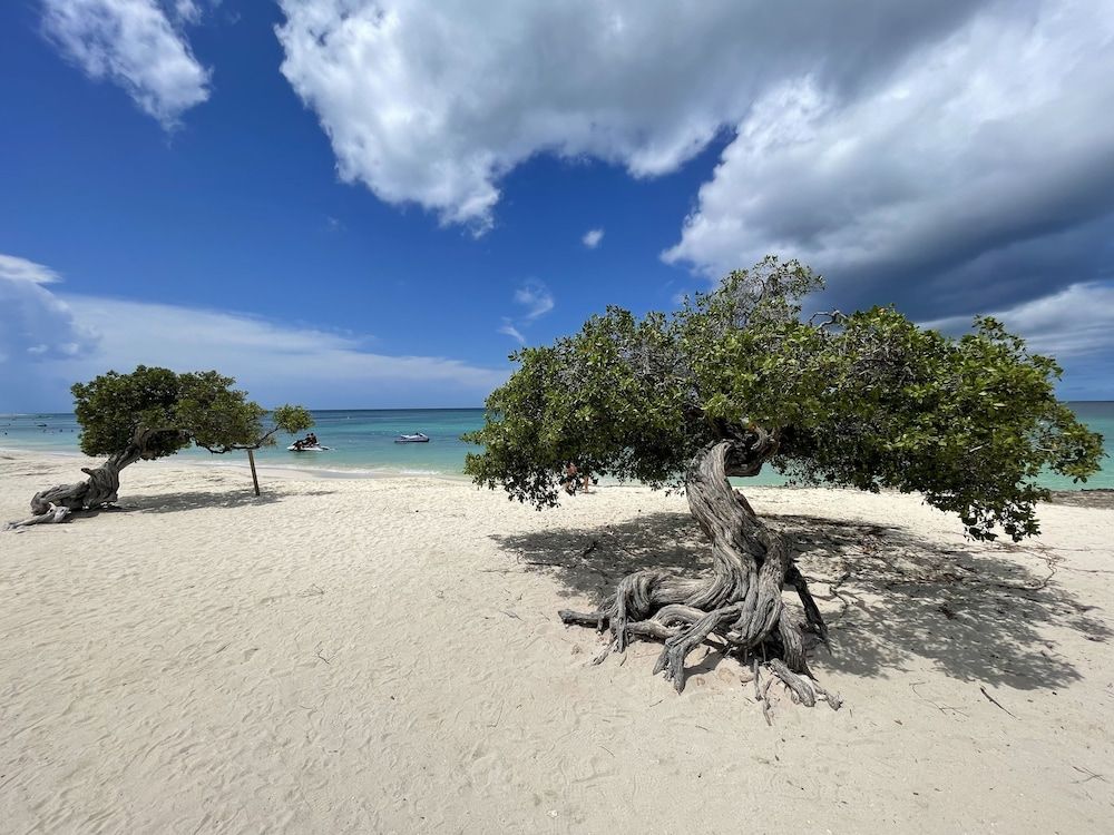 Swiss Paradise Aruba - Point of interest
