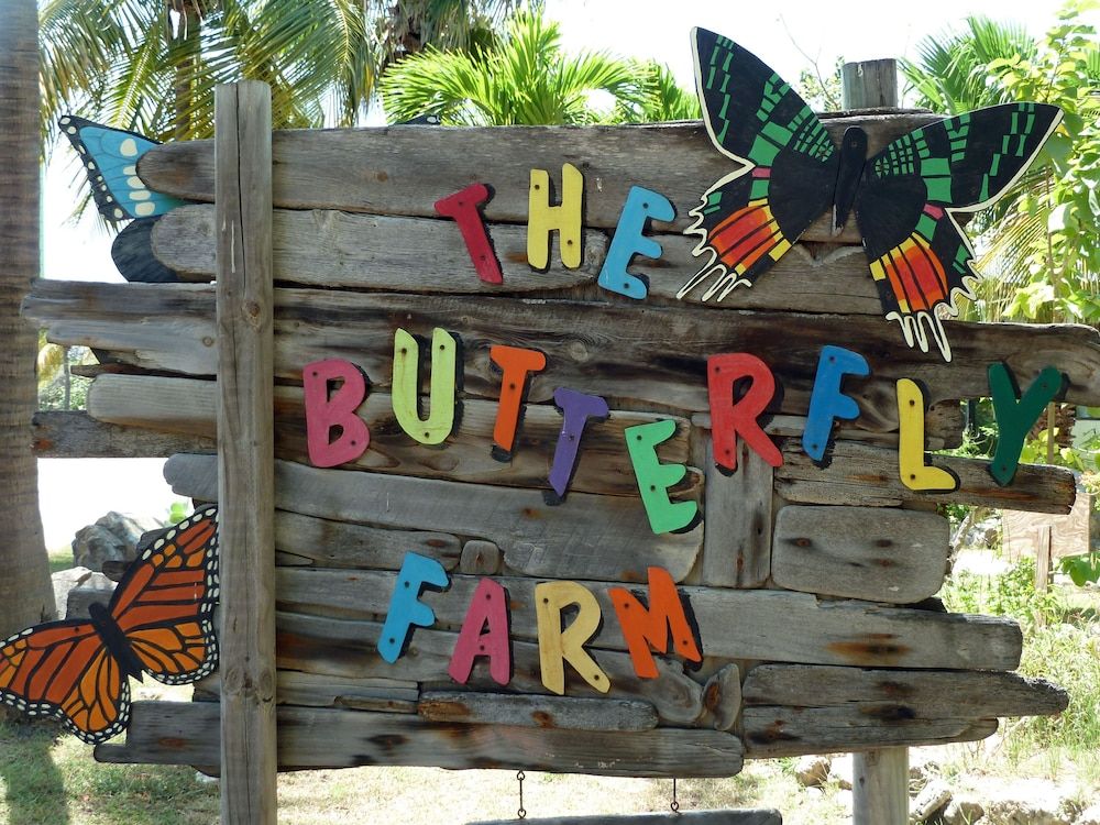Bubali Bliss Studios & Villas - Point of interest