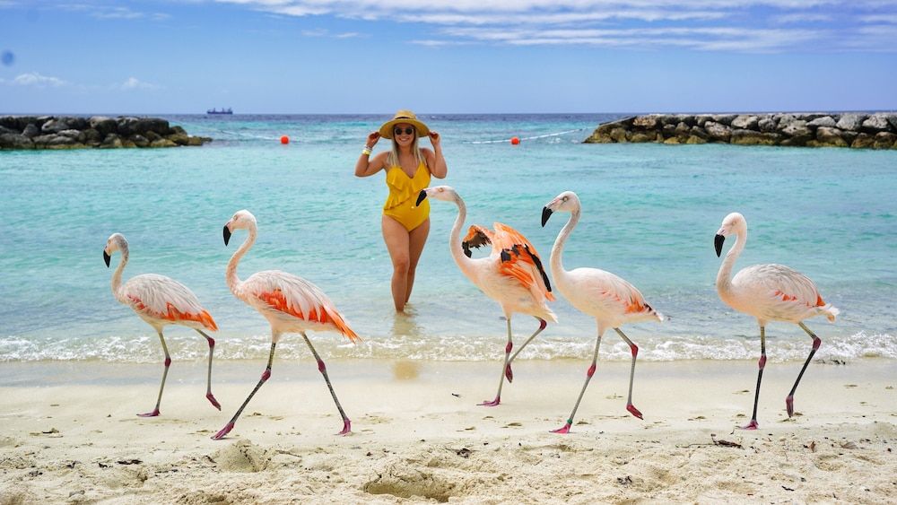 Aruba's Life Residences - Property grounds - 4