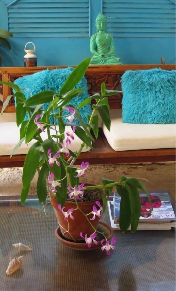 Beach Front Paradise - Interior detail - 1