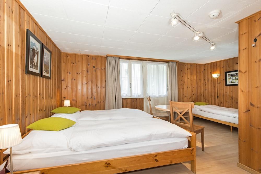 Hotel Alpina photo