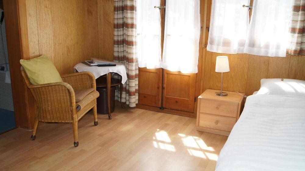 Hotel Alpina photo