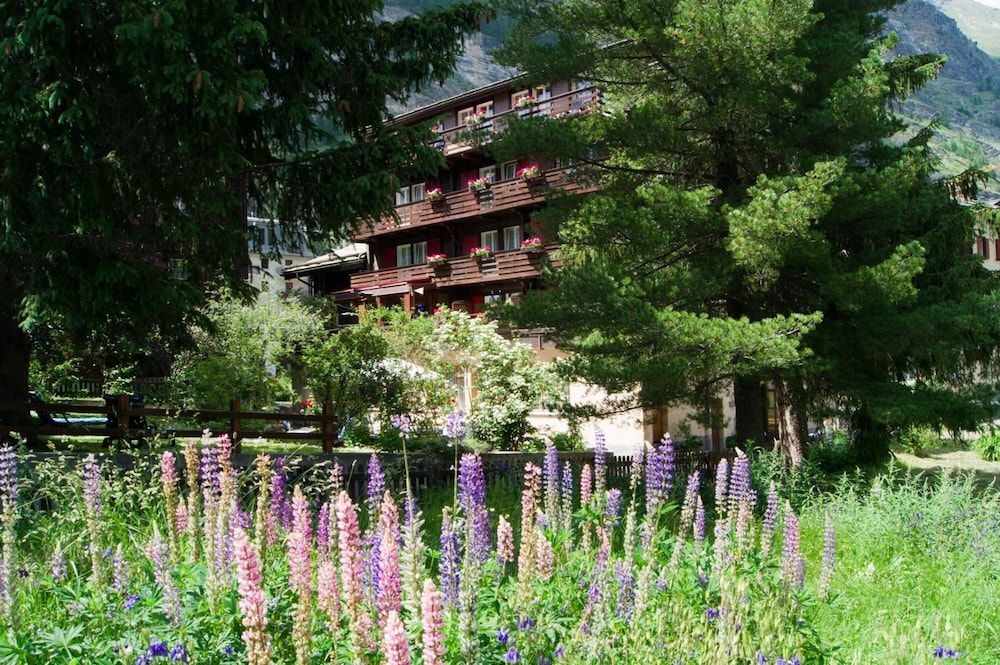Hotel Alpina - Exterior
