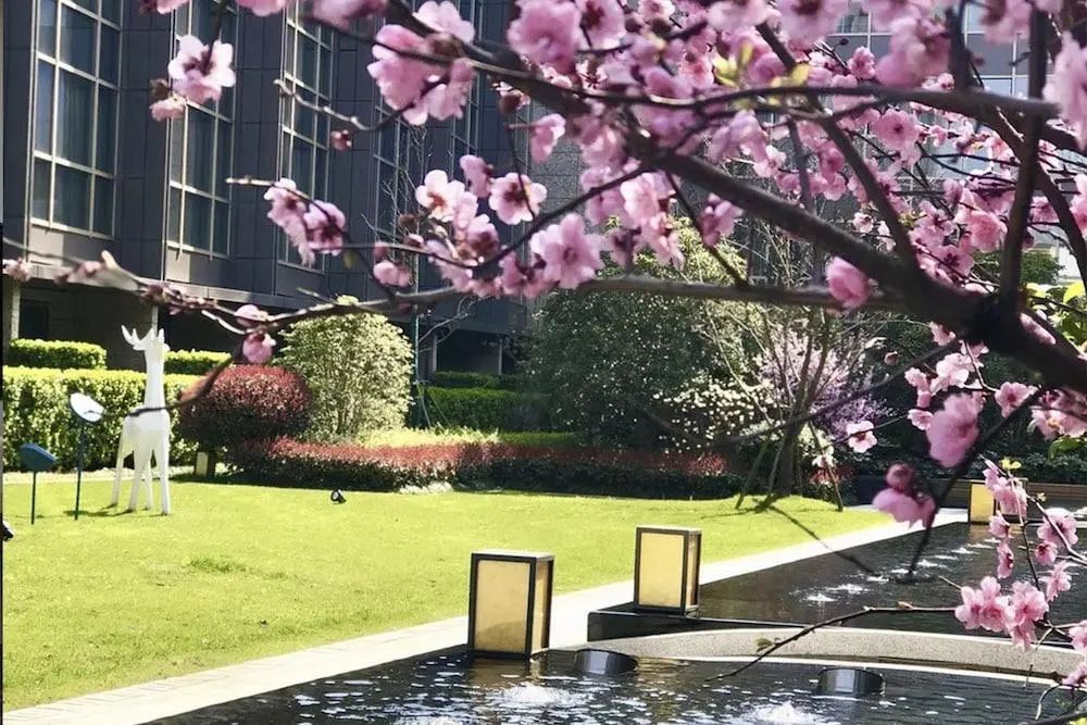 Sheraton Shanghai Chongming Hotel - View from room - 2