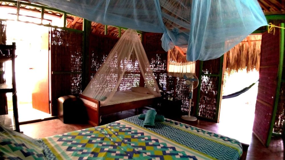 Las Palmeras - Room - 2