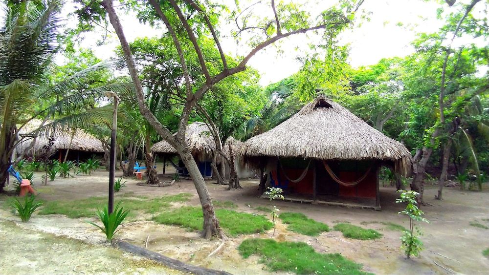 Las Palmeras - Room - 4