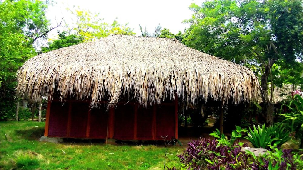 Las Palmeras - Room - 3