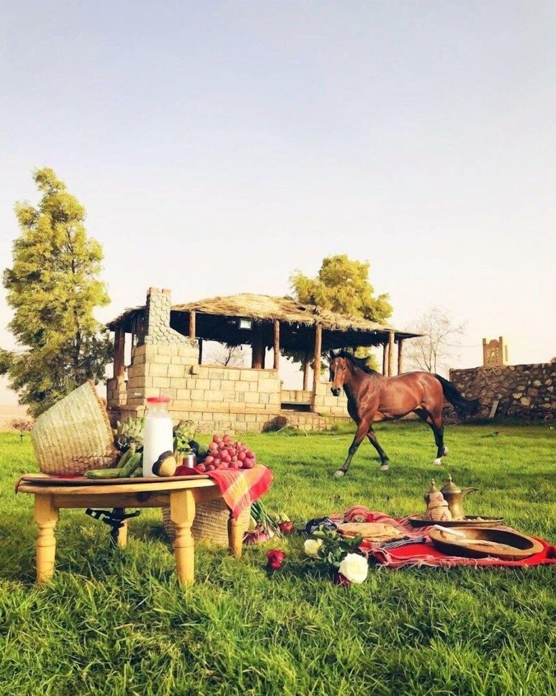 Résidence Ferme Habib - Horseback riding - 3