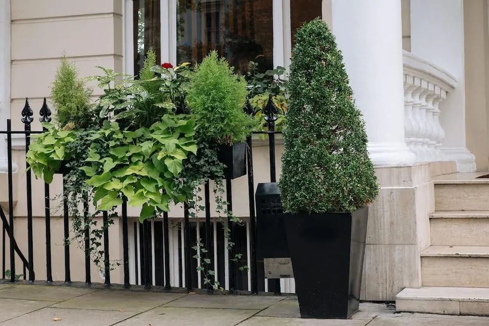 諾丁山尊貴飯店 - Front of property - 2