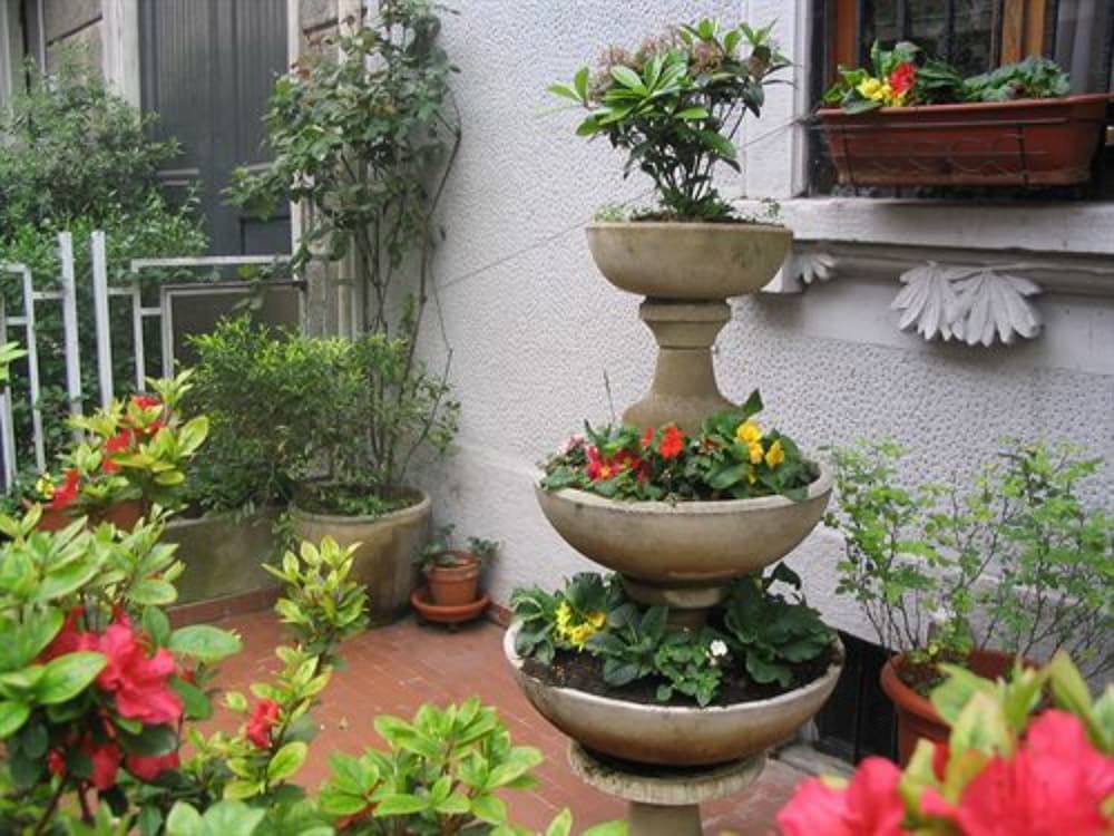 Hotel Mayorca - Property grounds