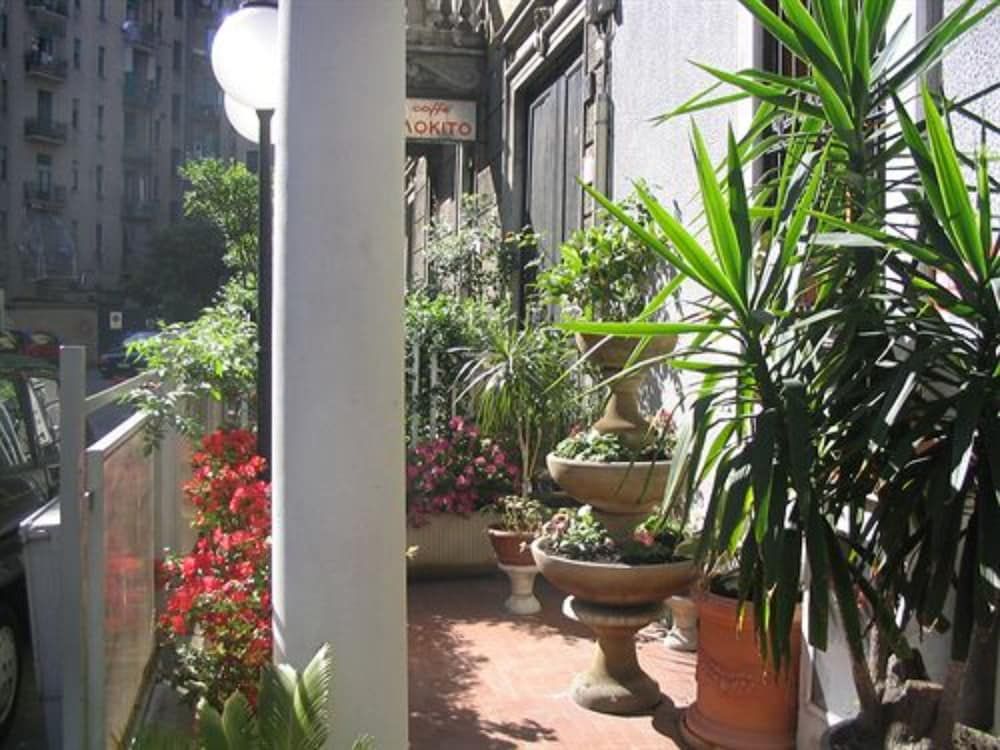 Hotel Mayorca - Property grounds - 2