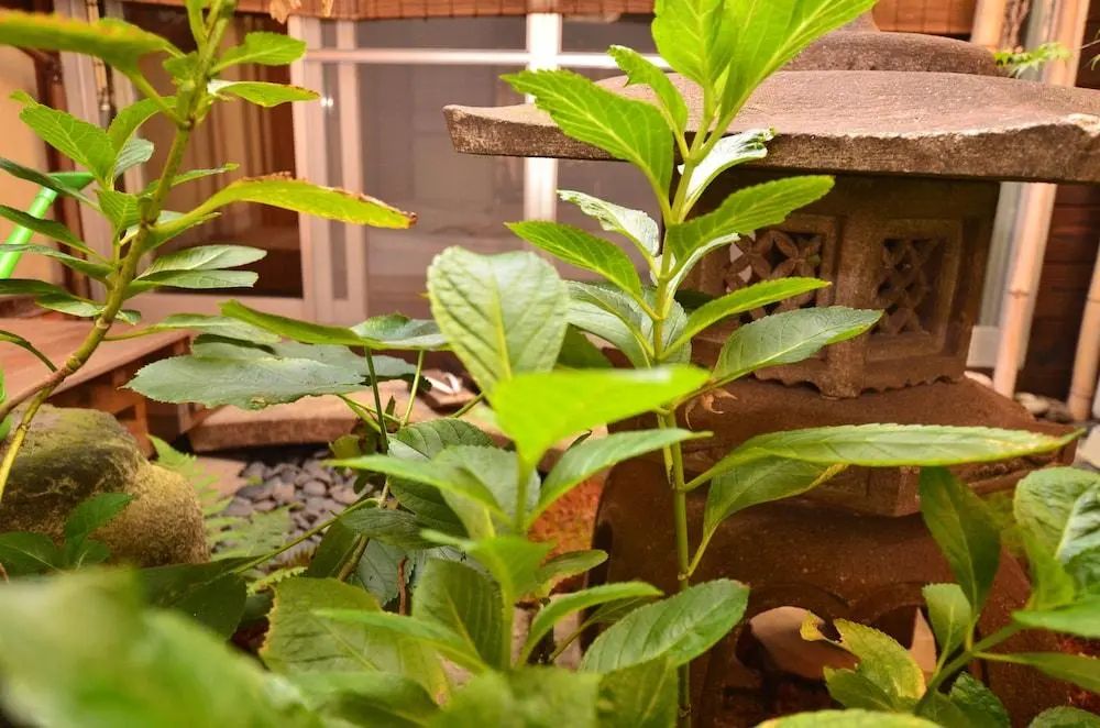 Colours - Hostel - View from property - 2