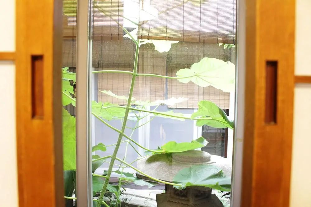 Colours - Hostel - View from property - 1