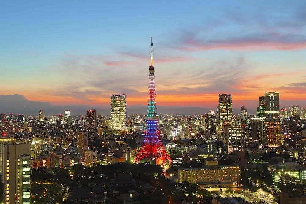 The Westin Tokyo - City view from property - 2