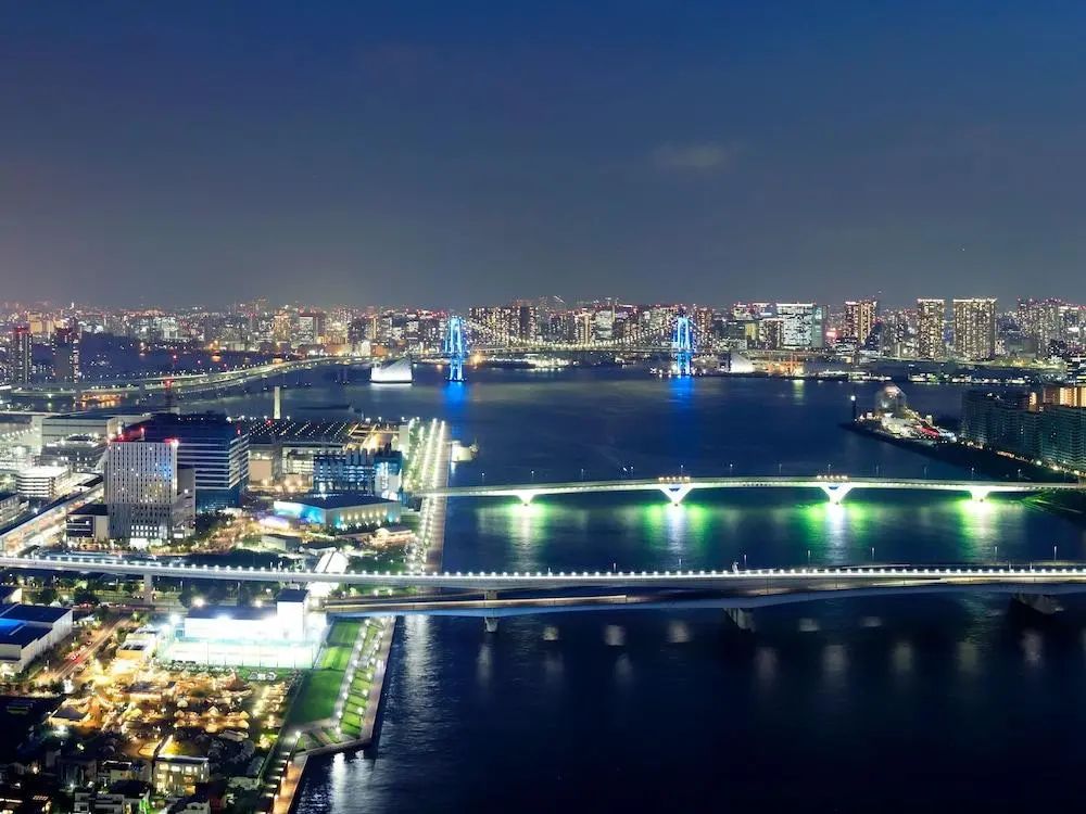 Mitsui Garden Hotel Toyosu Premier Tokyo - View from property - 3