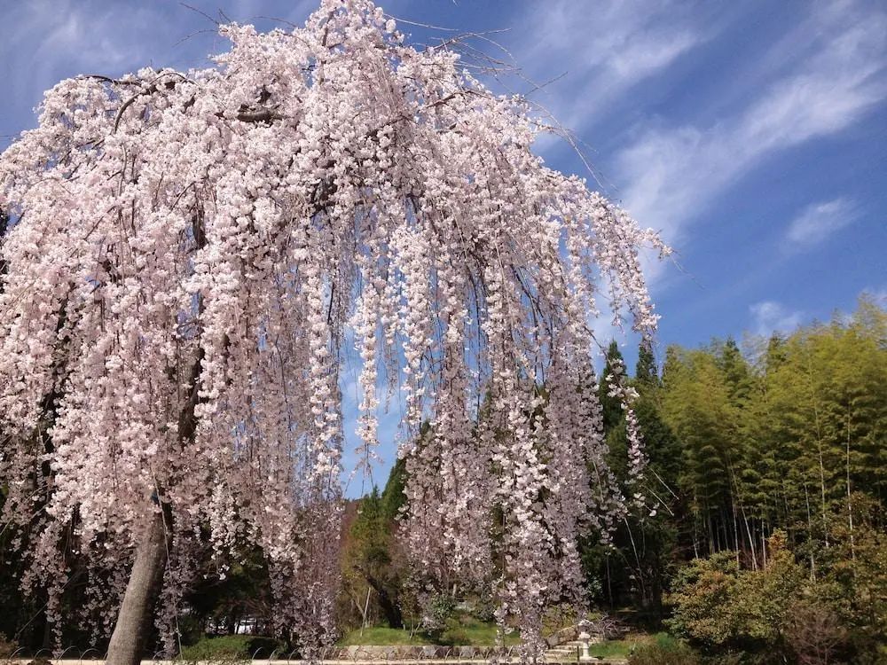 Hiroshima Airport Hotel - View from property - 2
