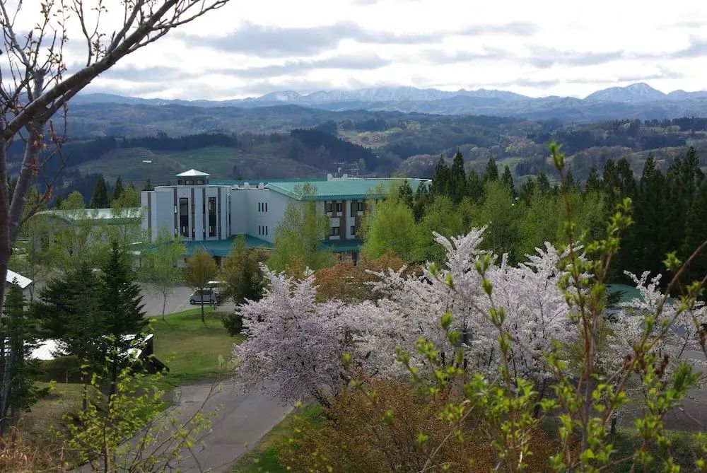 Romantopia, A Landscape of Forest and Stars, The Swan, Hotel of Stars - Front of property - 1
