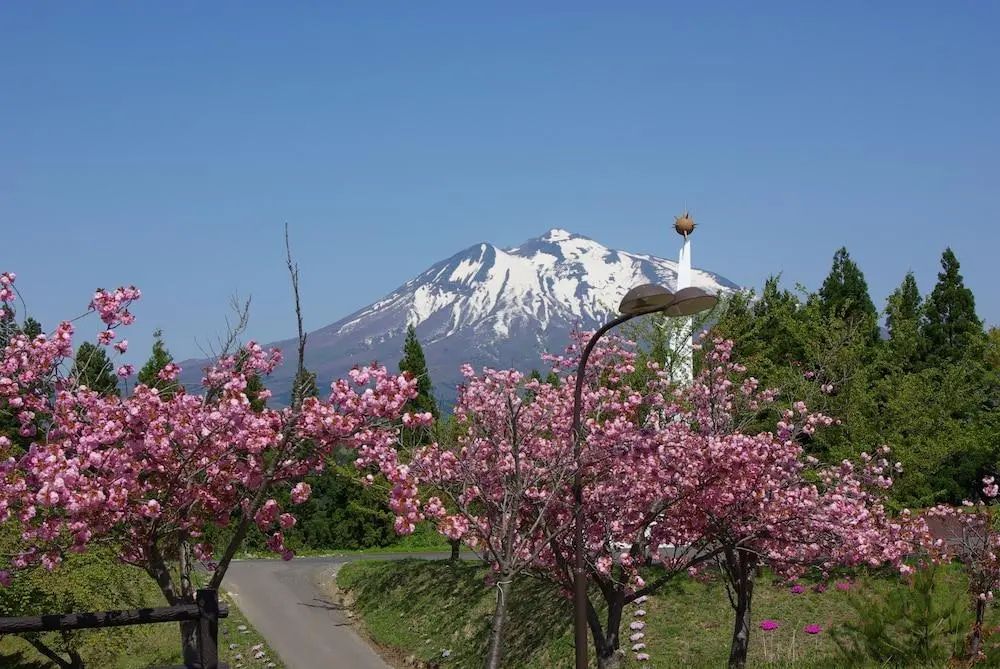 Romantopia, A Landscape of Forest and Stars, The Swan, Hotel of Stars - Mountain view - 2
