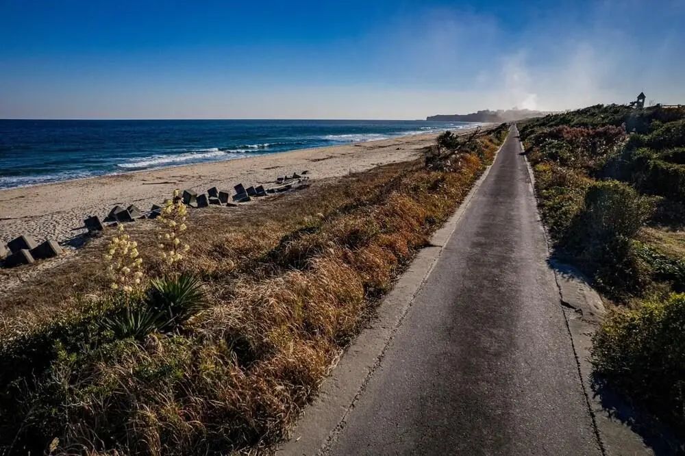 ELM On The Beach - Front of property - 2
