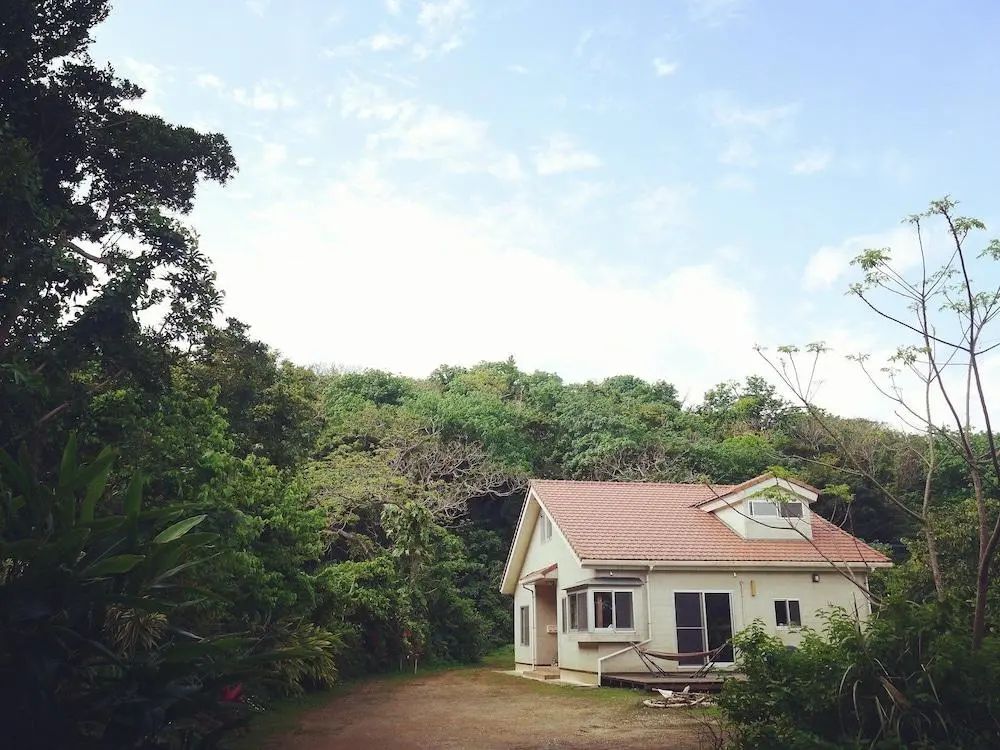 Primary image