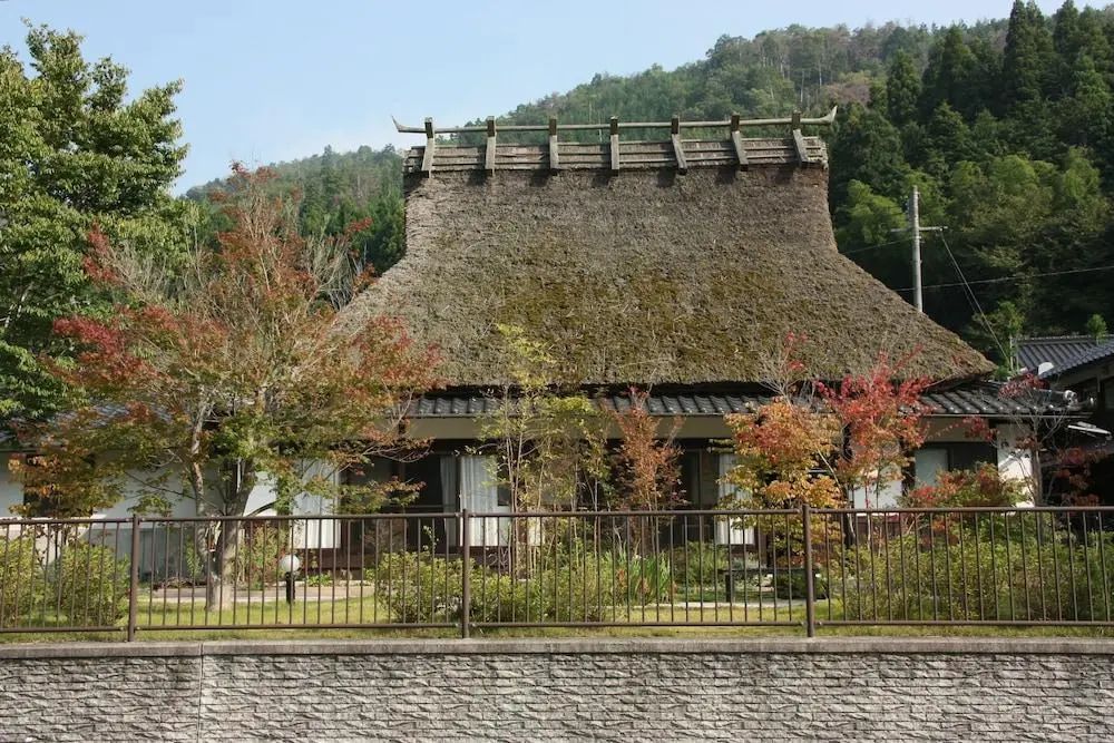 Primary image