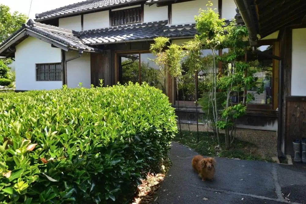 科多利安飯店 - Primary image