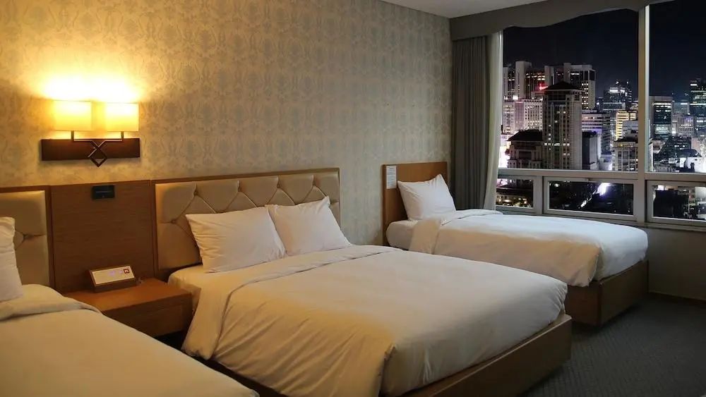 Mohenic Hotel Seoul Myeongdong - City view - 2