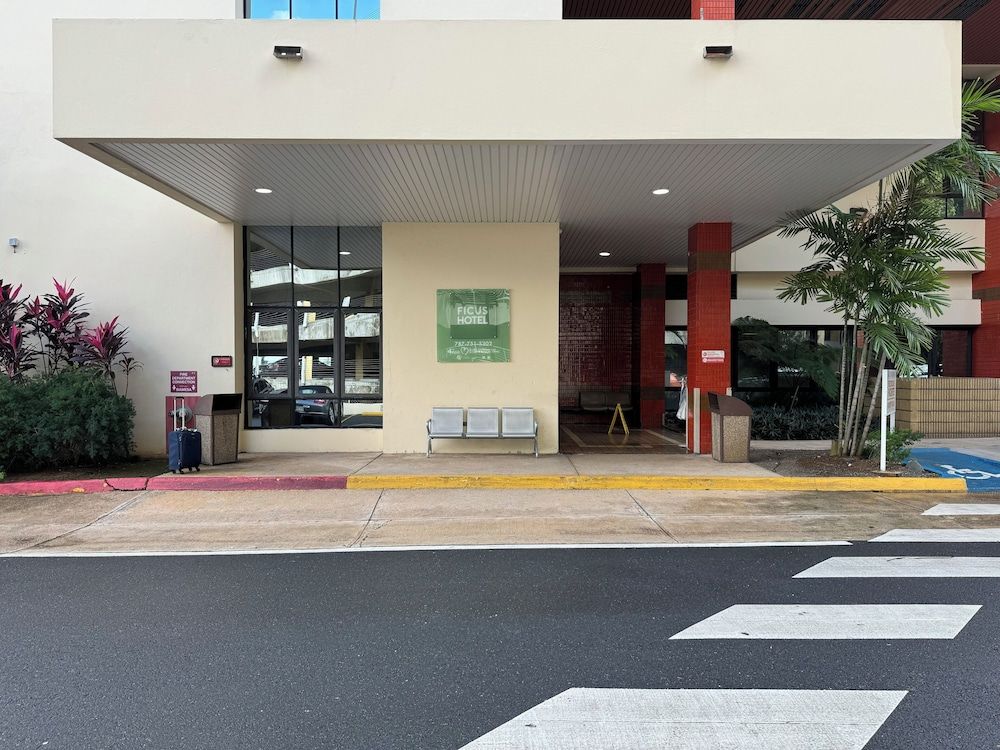 Ficus Hotel - Exterior