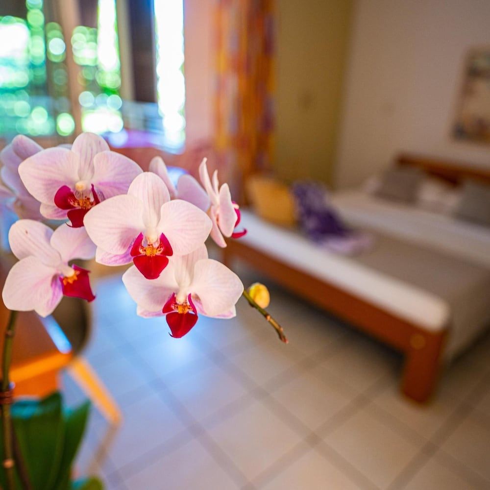 Le Kervéguen - Room - 2