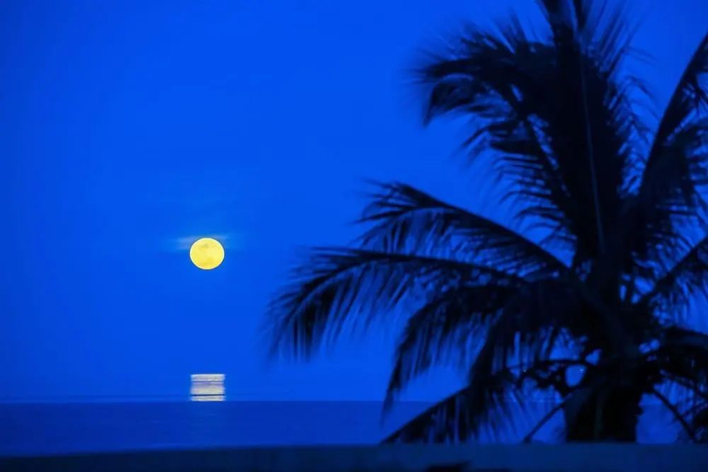 周末度假村住宿别墅 - View from property - 2