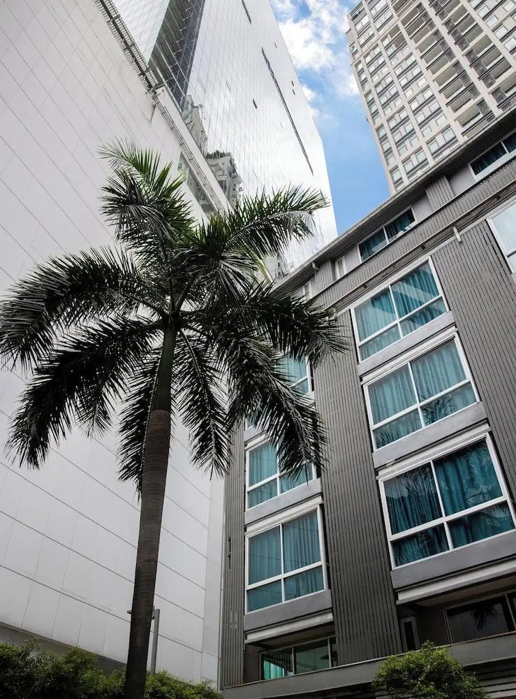 南茶素坤逸 39 号酒店 - Primary image - 1