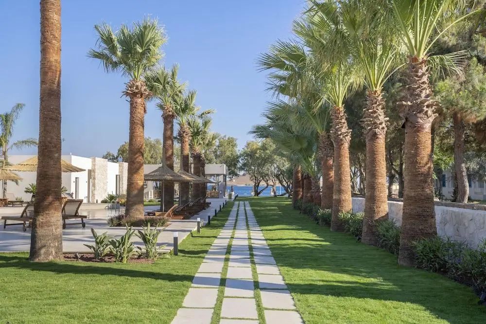 Regia Mare Beach Hotel & Spa Bodrum - Primary image