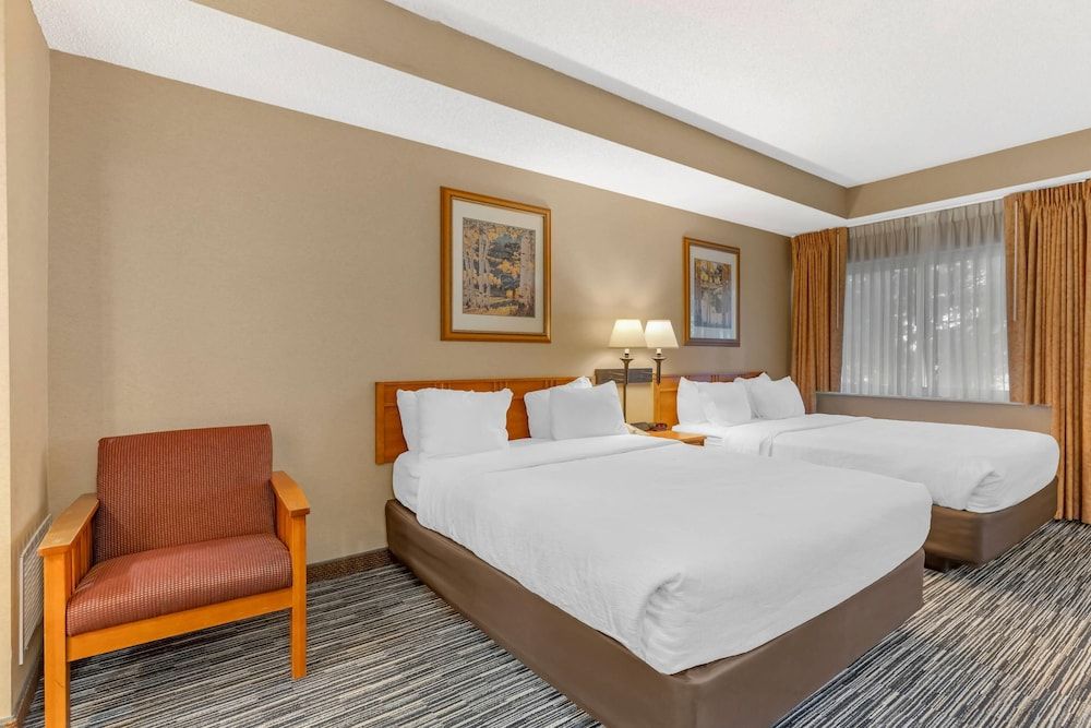 Quality Inn & Suites Wellington - Fort Collins - Room - 2