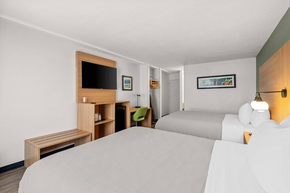 奥兰多国际大道附近的品质酒店 - Room - 2