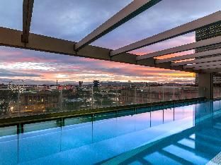 Oaks Brisbane Casino Tower Suites - Swimming pool - 1