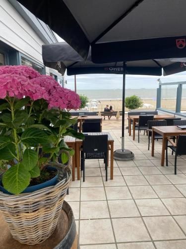 Strandhotel De Haan photo 4