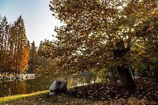 Home Inn Qingdao Long-Distance Bus Terminal Hangzhou Road photo 2
