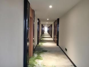 GreenTree Inn Xinxiang Fengqiu County Xingfu Road - Interior view - 3