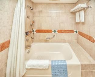 Hotel Silverland photo 5