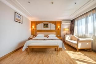 Hotel Silverland main photo